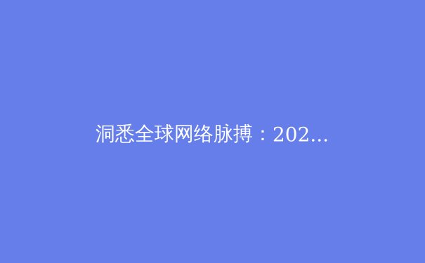 洞悉全球网络脉搏：2024年VPN技术趋势与安全资讯深度解读 - 2