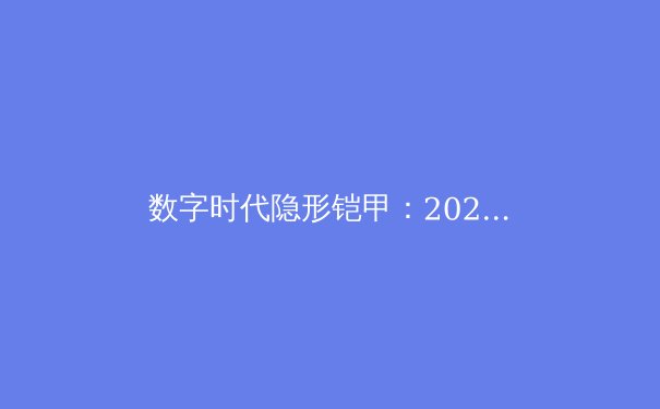 数字时代隐形铠甲：2024年VPN技术趋势与网络安全实战解析 - 3