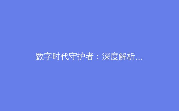 数字时代守护者：深度解析VPN技术演进与全球资讯安全新态势 - 3