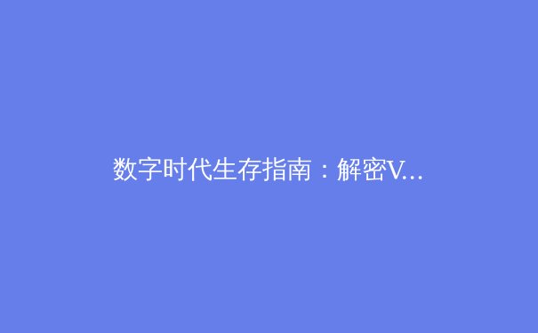 数字时代生存指南：解密VPN技术演进与全球网络安全新格局 - 4