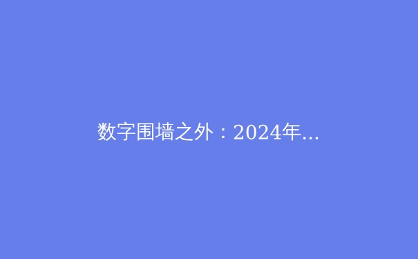 数字围墙之外：2024年全球VPN趋势、技术演进与隐私安全的深度解析 - 2
